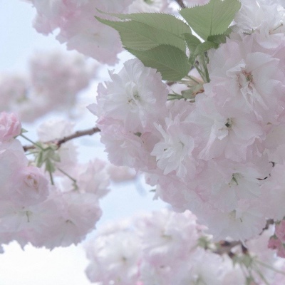 Furry绘画细节技巧兽圈社群